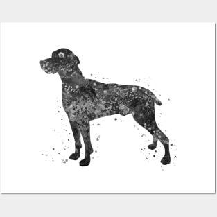 weimaraner dog black and white Posters and Art